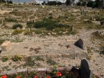 Shi’a cemetery